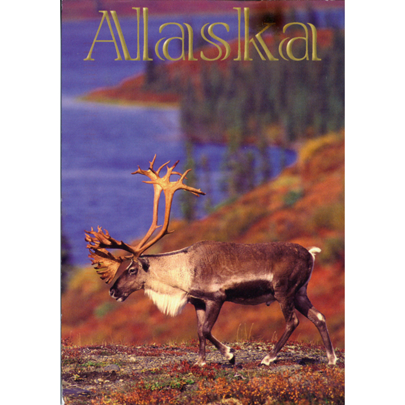 Poetic Thoughts - Postcard from Alaska - by C.W. Pruitt II