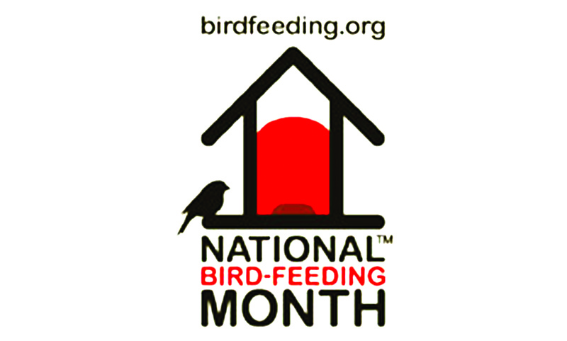 Right in my Own Backyard - Celebrate National Bird-Feeding Month - by Brandt Carter