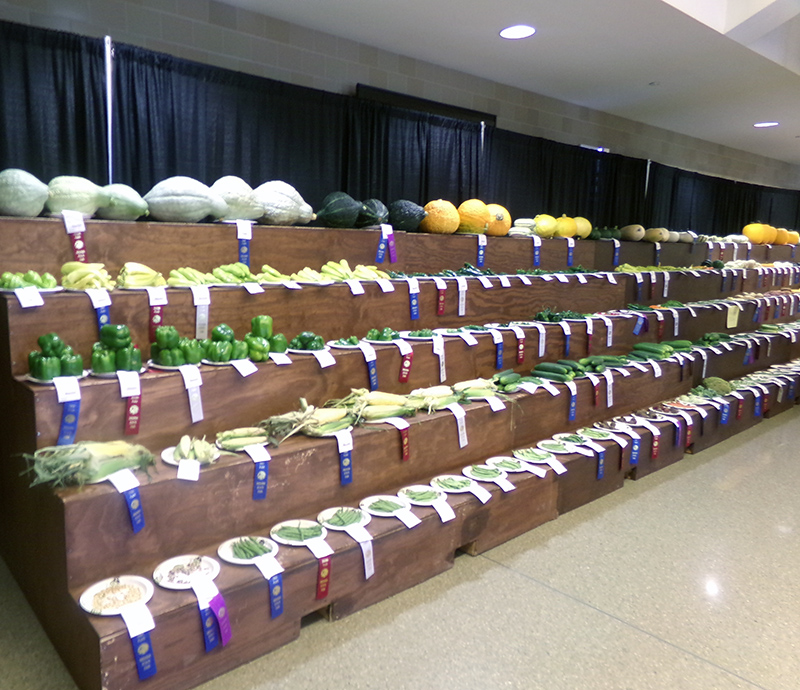 The horticulture competitions are displayed in the Coliseum this year.