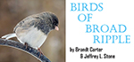 Birds Of Broad Ripple header