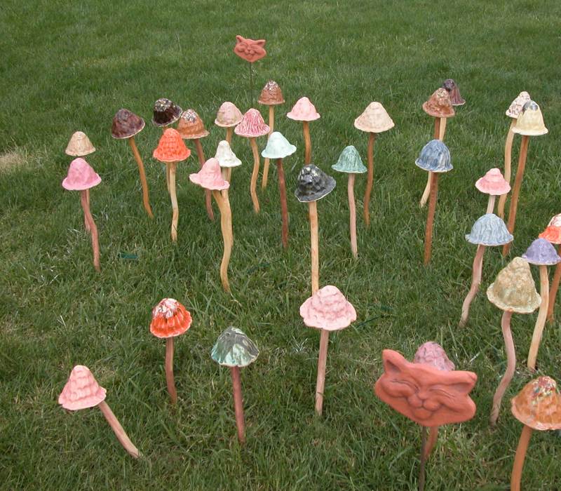 Mushrooms