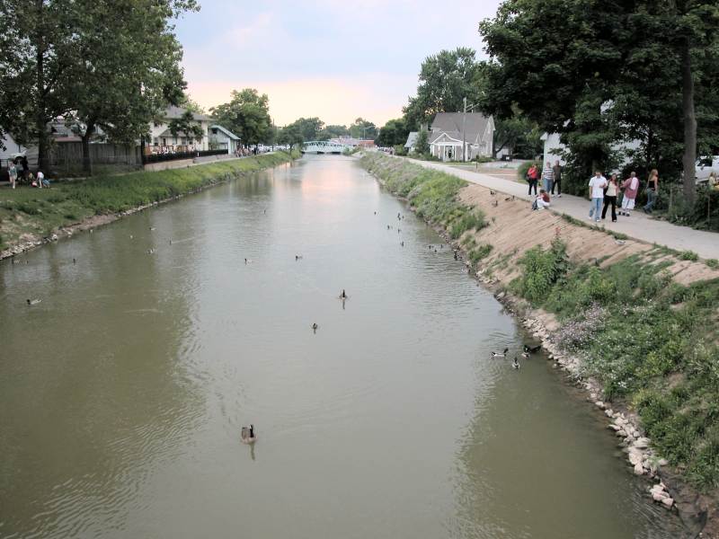 The ducks go on about their activities