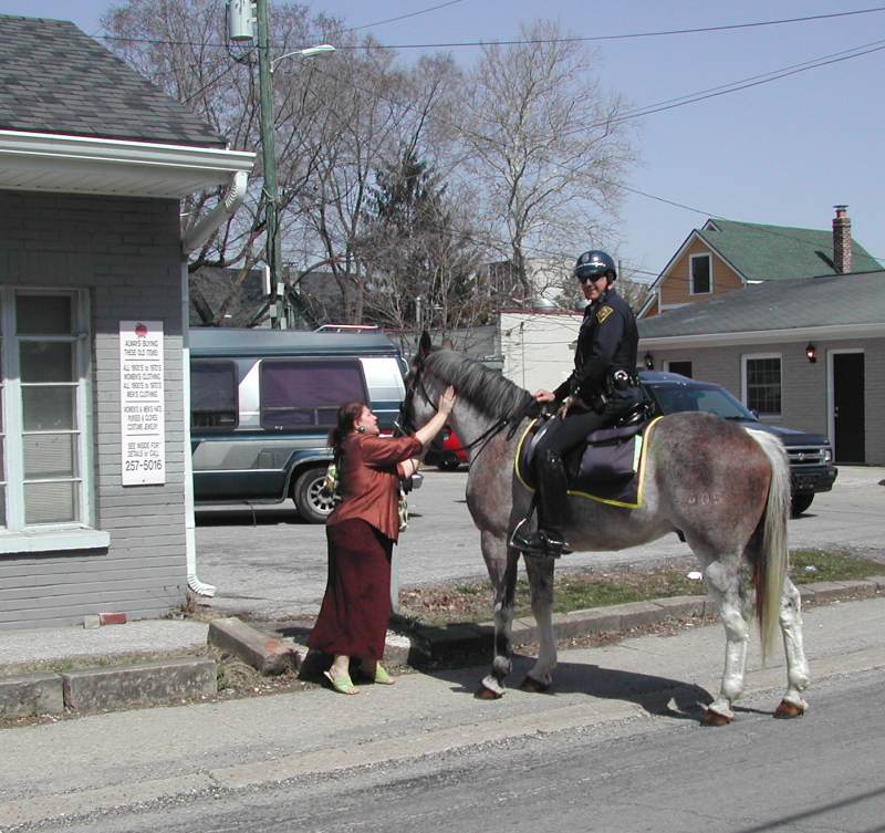 Random Rippling - Mounted Patrol