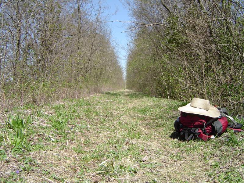 The Prisoner's Walk, Part I - by Joseph Foster 