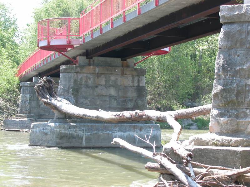 Random Ripplings - Huge tree wedged on Monon Trail bridge