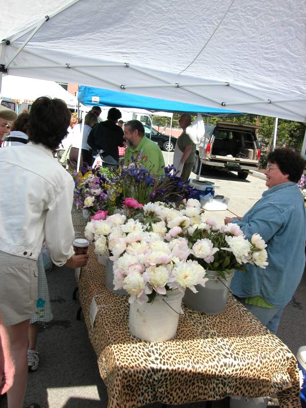 Farmers Market Opens 2005 Season at the IAC