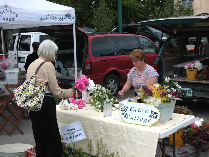 Fresh flowers from Cate's Cottage.