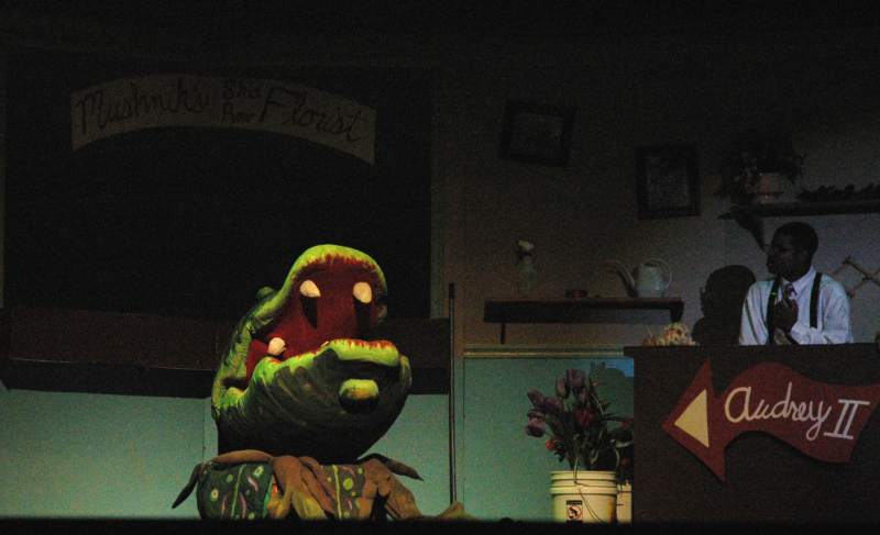 Musical at BRHS: Little Shop of Horrors - Feed Me!