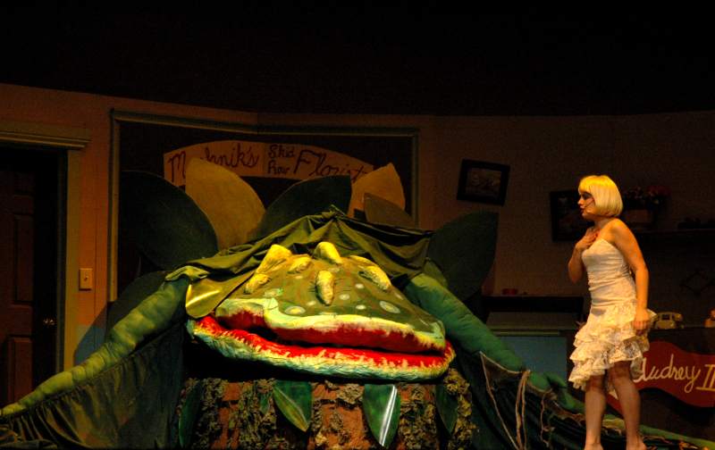 Supersized Audrey II