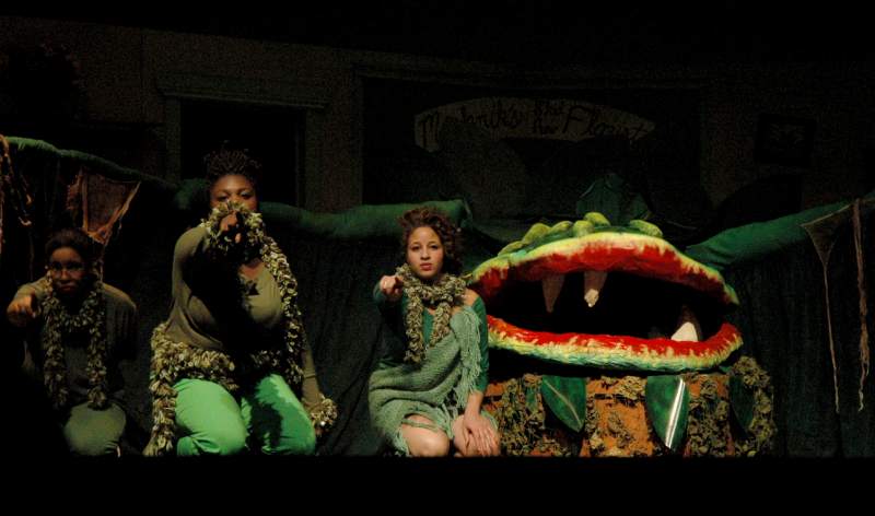 Musical at BRHS: Little Shop of Horrors - Feed Me!