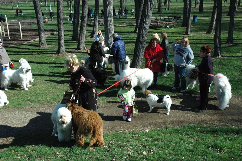 Brandt Carter with her dogs in lower left