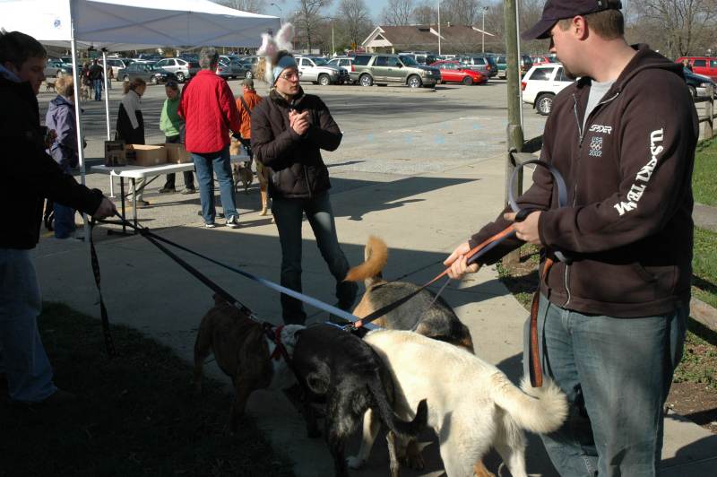 Is that the Easter Bunny? No, it is Stacey Petcu of the Three Dog Bakery.