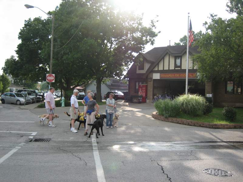 The CCI dogs in training always wear the yellow and blue vest to show that they are working. Although it is difficult to do, working dogs are supposed to be ignored by the public.