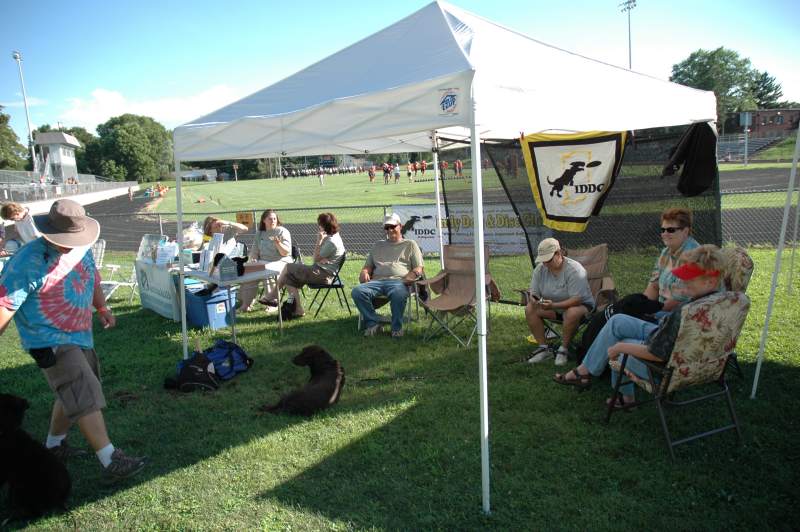 Indiana Disc Dogs