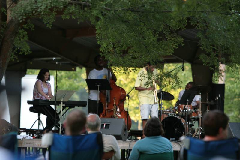 The audience enjoyed the free jazz concert under the canopy of trees at Broad Ripple Park.