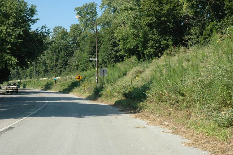 Random Rippling - Overgrown levee 