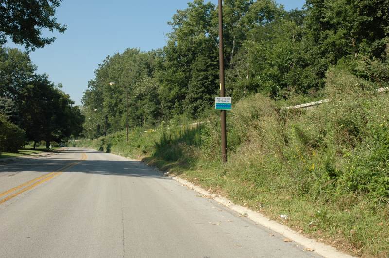 Random Rippling - Overgrown levee 