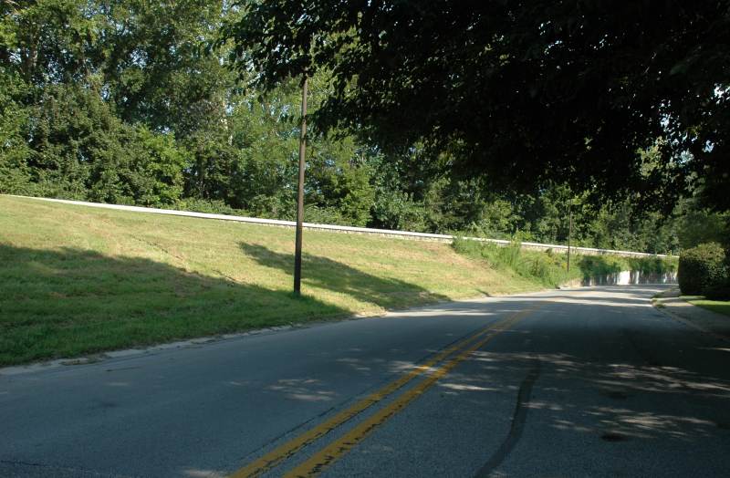 Random Rippling - Overgrown levee 