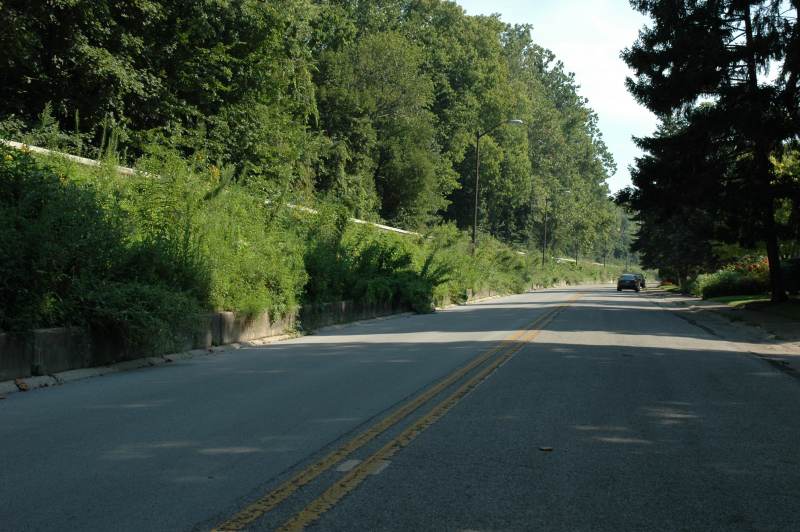 Random Rippling - Overgrown levee 