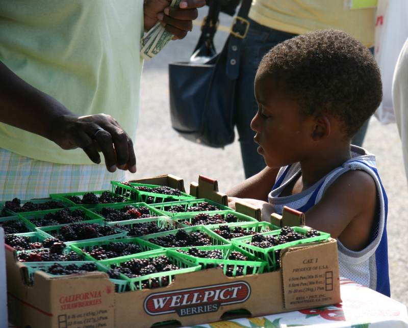 This youngster watched as his mom picked the best raspberries.