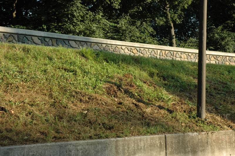 Random Rippling - Levee weeds 