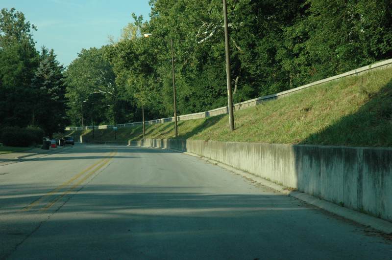 Random Rippling - Levee weeds 