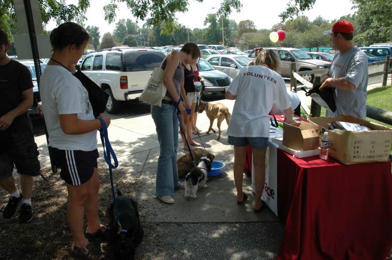 Random Rippling - FACE Hosts Dog Ice Cream Social at Park 