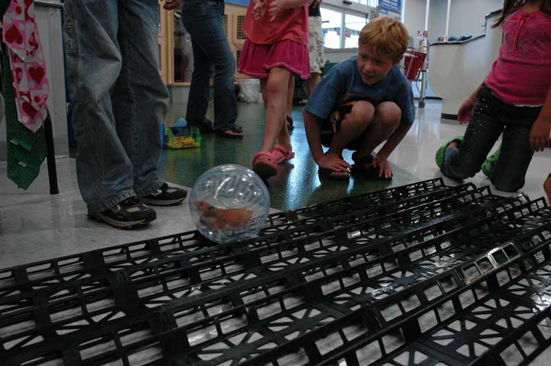 Random Rippling - Hamster Ball Derby