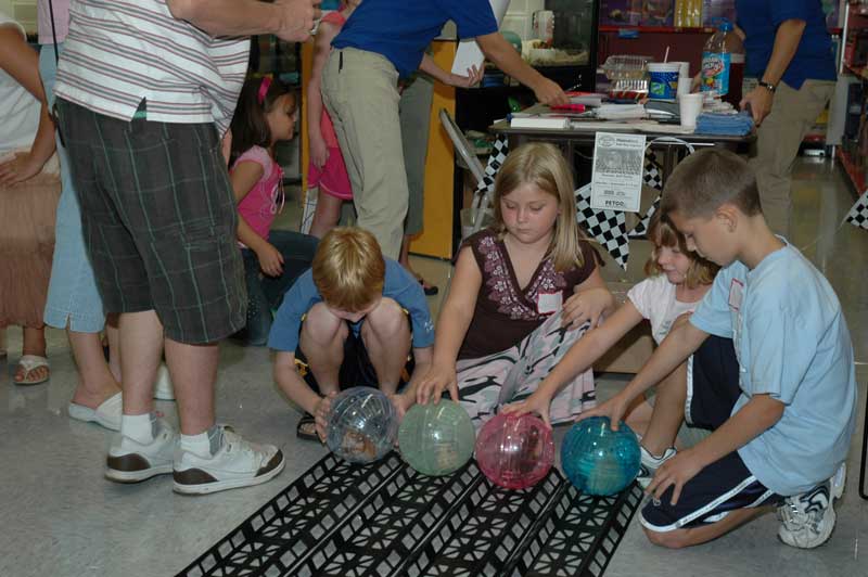 Random Rippling - Hamster Ball Derby