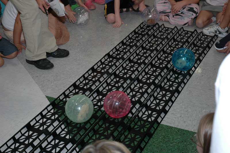 Random Rippling - Hamster Ball Derby