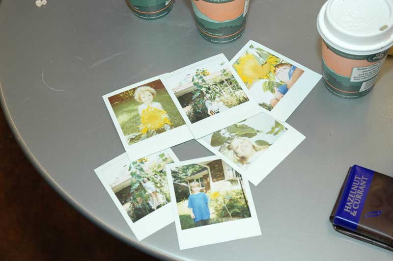 Random Rippling - Sunflower Contest at Sunflower Market