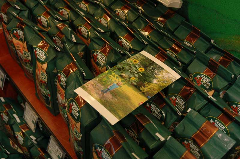 Random Rippling - Sunflower Contest at Sunflower Market
