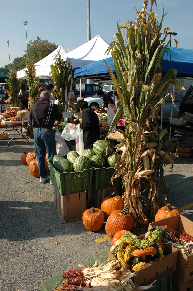 Fall is here. The market is full of pumpkins, gourds, and Indian corn.