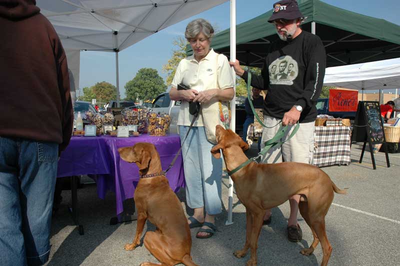 The Huppert's dogs patiently waited for a cookie treat from the Three Dog Bakery booth at the Farmers Market.