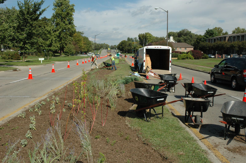 KIBI worked on the College Avenue medians