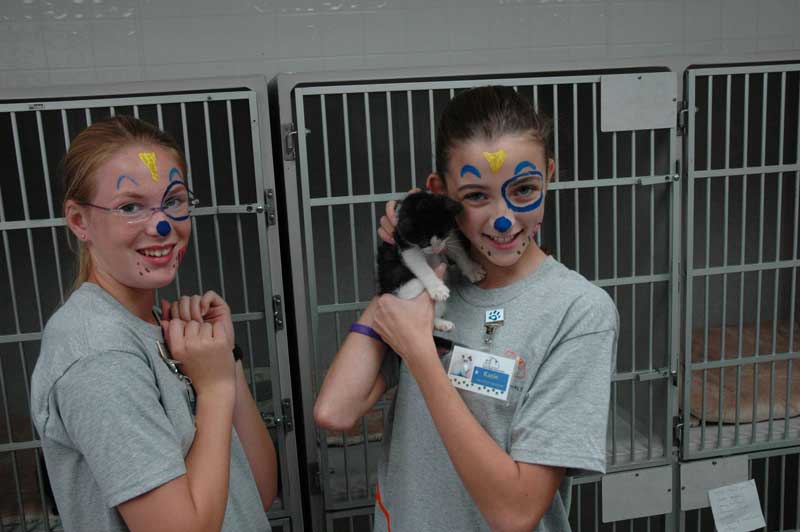 Teeny kittens were in the kennel.