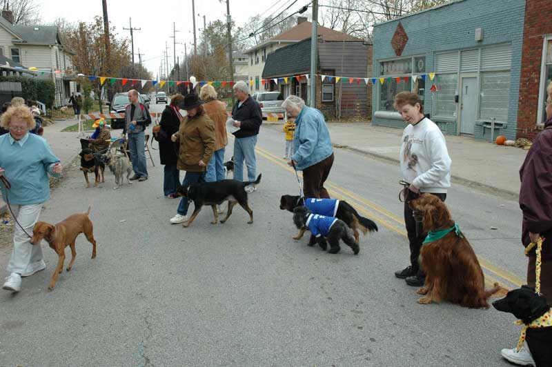 Random Rippling - Mutts Meet at 49th and College for City Dog Opening
