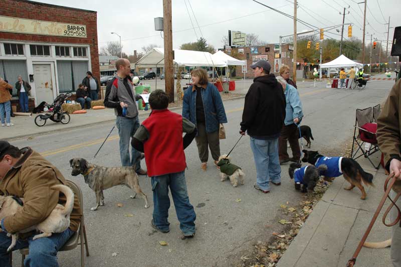 Random Rippling - Mutts Meet at 49th and College for City Dog Opening