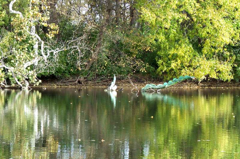 Reader Random Rippling - Haunting pictures of the White River - submitted (for your approval) by Larry Mitchell