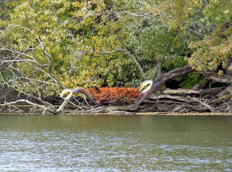 Reader Random Rippling - Haunting pictures of the White River - submitted (for your approval) by Larry Mitchell