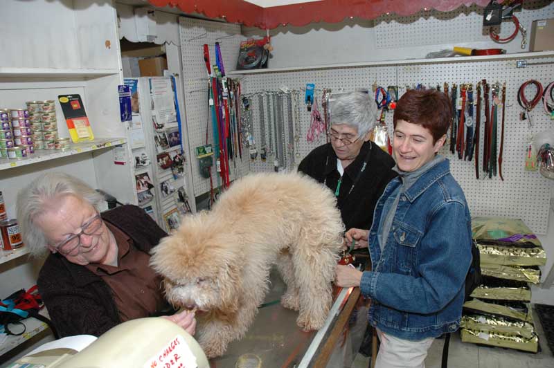 Left: Lynn Levy looks on as Sue Owens gives Ziggy a treat on the last weekend for the store.