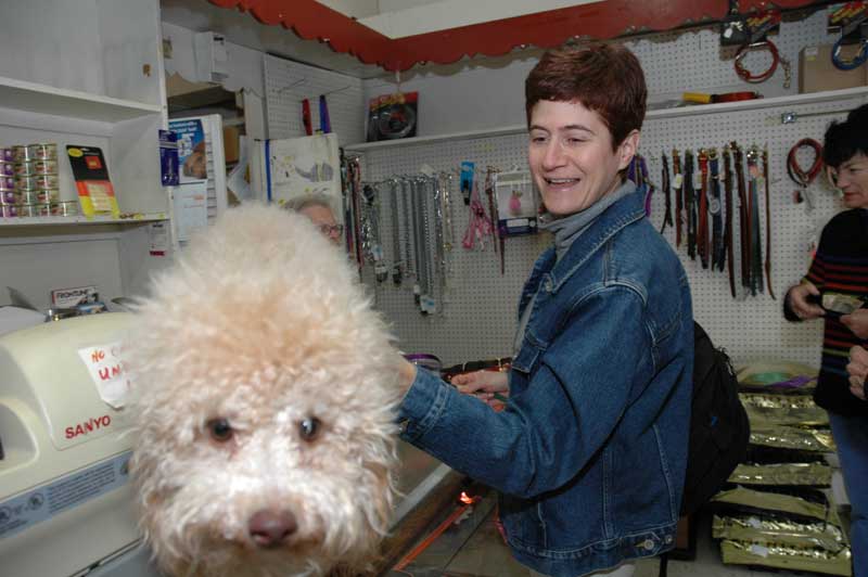 Random Rippling - The Dog Food Shop Closes