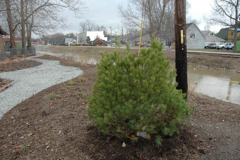 Random Rippling (Grinching!) - Fire station garden 