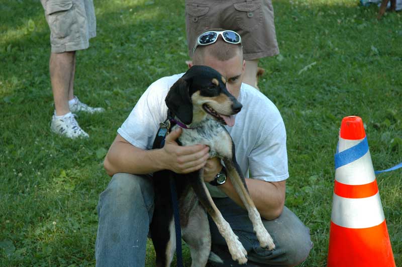 Broad Ripple hosts the 2nd annual ARPO Dog Olympics - By Sarah Davis