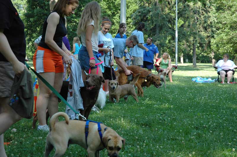 Broad Ripple hosts the 2nd annual ARPO Dog Olympics - By Sarah Davis