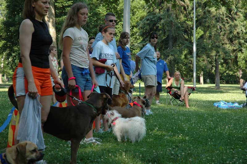 Broad Ripple hosts the 2nd annual ARPO Dog Olympics - By Sarah Davis