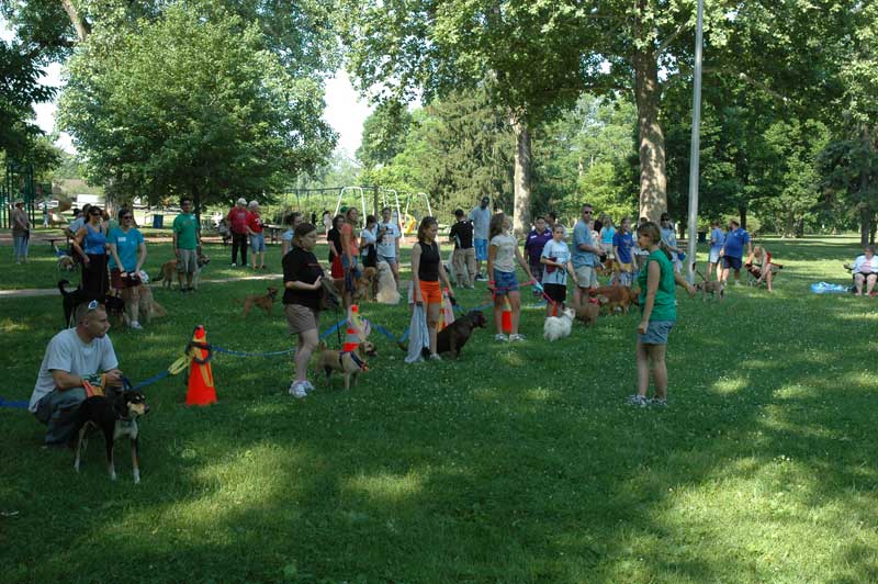 Broad Ripple hosts the 2nd annual ARPO Dog Olympics - By Sarah Davis