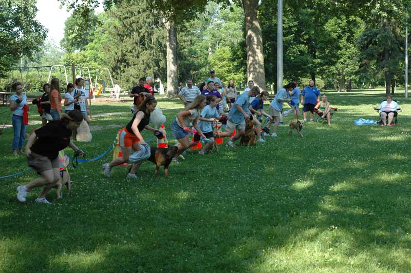 Broad Ripple hosts the 2nd annual ARPO Dog Olympics - By Sarah Davis