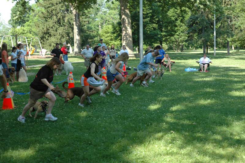 Broad Ripple hosts the 2nd annual ARPO Dog Olympics - By Sarah Davis