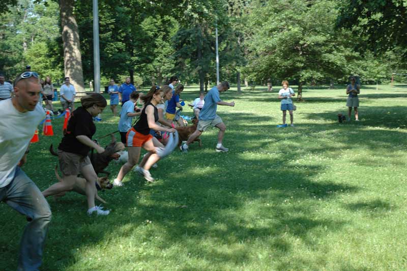 Broad Ripple hosts the 2nd annual ARPO Dog Olympics - By Sarah Davis